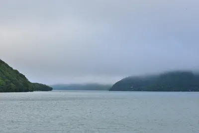 DSC_3726 (Large).JPG